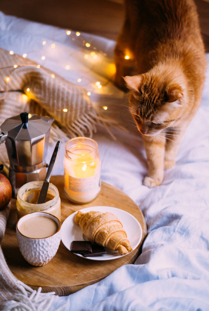 curling up to read then write with cat and coffee